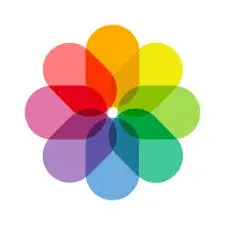 Photos