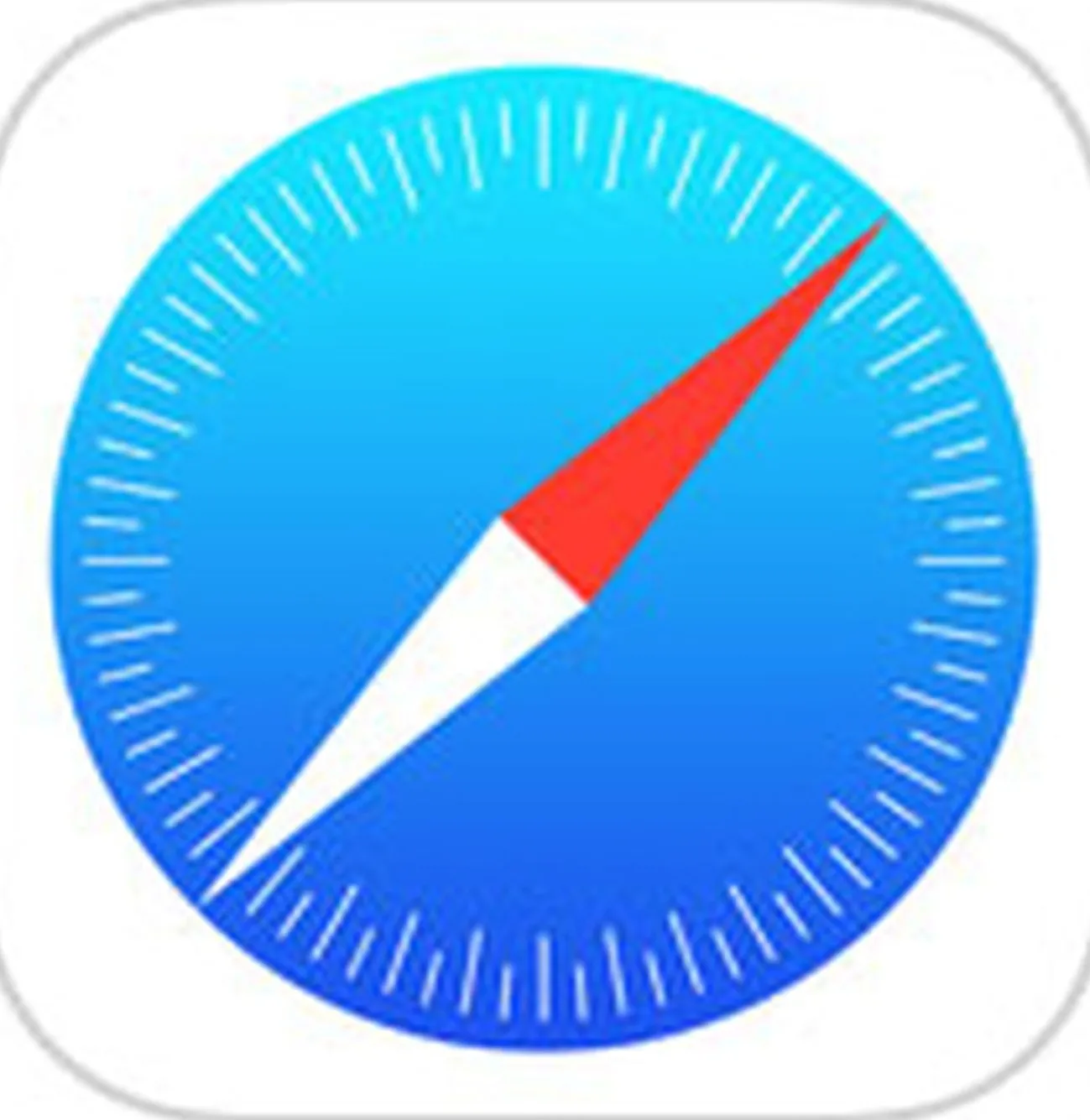 Safari